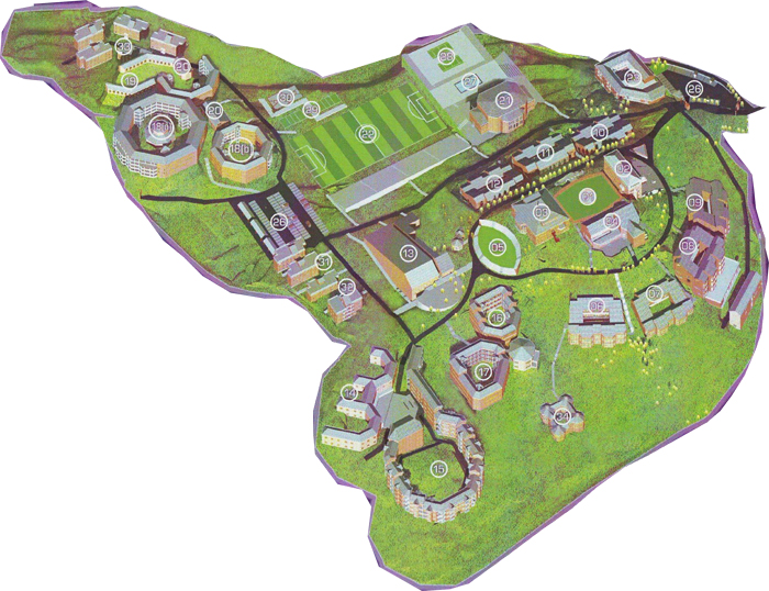 GPS Field Survey